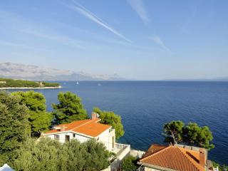 Apartments by the sea Puntinak, Brac - 718 - 7