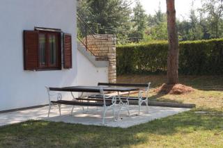 Apartments by the sea Dajla, Novigrad - 3376 - 1