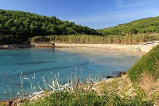 Apartments by the sea Milna, Vis - 8490 - 9