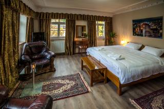 Pension Olympion - Jihlava - 7