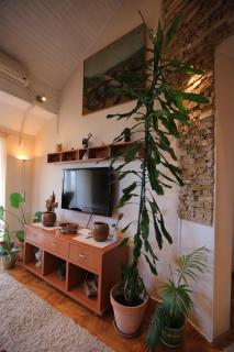 Magic Apartment - 8