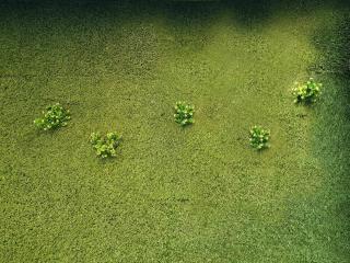 The Lively Hotel Kualanamu - 3