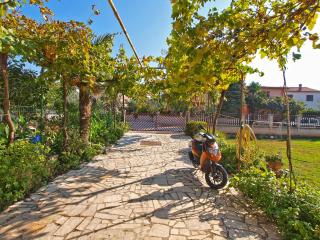 Apartments Silvana 143 - Fažana - 1