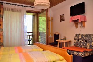 Haus Jost Ingrid - Hermagor - 7