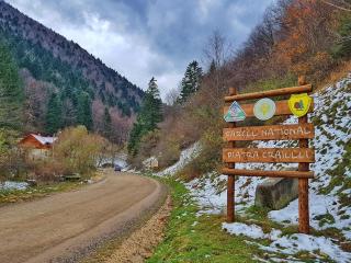 Apartament Zarnesti - 1