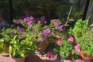 B&B Tenuta Zavaia - Santarcangelo di Romagna - 2