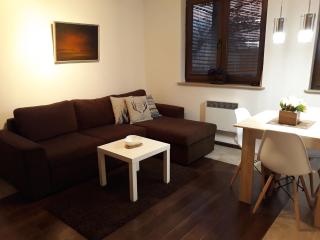 Apartmani Starovla - Zlatibor - 1