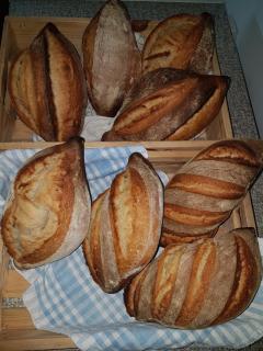 Stoep Cafe Guest House - 2