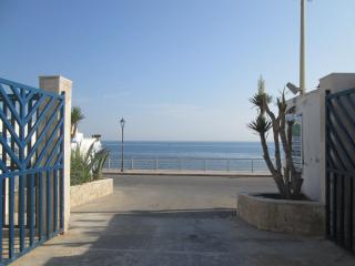 Pescandora - Bisceglie - 1