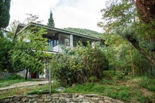 Studios Kyparissi & Spa - Tyros - 1
