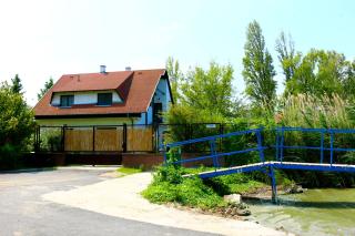 Nefelejcs - Zamárdi - 3