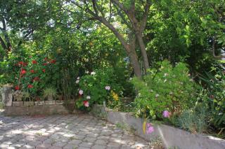 Apartments with parking space Orebic, Peljesac - 10093 - 4