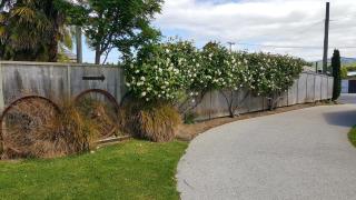Catlins Area Motel - Owaka - 4