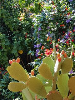 La Foresteria Garden Boutique B&B - Catania - 3