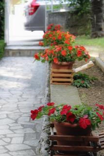 Apartments and rooms with parking space Selce, Crikvenica - 2379 - 4