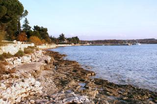 Apartments with parking space Karigador, Novigrad - 2534 - Karigador - 4