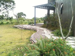 Beetles Forest - Jiaoxi - 6