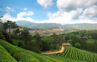 보성녹차리조트 - 3