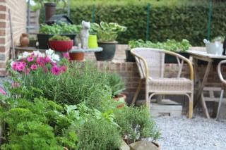 B&B De Vroling - Wellen - 4