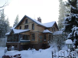 Hotel Magnes - Szklarska Poręba - 9
