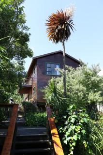 Allan Grove - Knysna - 6