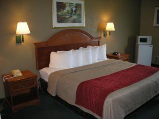 Quality Inn & Suites - 9