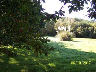 Jonti Bed And Breakfast - Corfe Castle - 1