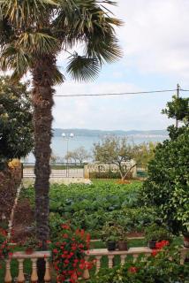 Apartments by the sea Bibinje, Zadar - 5866 - Bibinje - 2