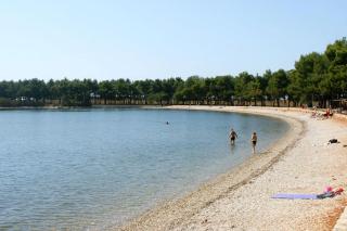 Apartment Novigrad 2536d - Novigrad Istria - 7