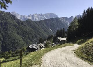 Kmetija Matk - Solčava - 8