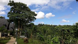 The Duyan House at Sinagtala Resort - Orani - 5