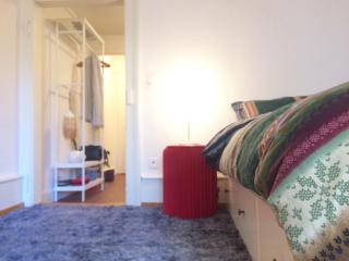 In Swiss Home - Rathaus from 1284 historical Apartment - Basilea - 8