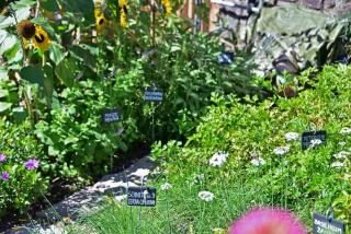 Prackfiedererhof - 3