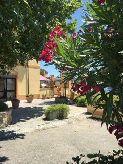 Hotel Il Malandrone - Rosignano Marittimo - 2