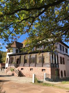 Logis Du Haut-Koenigsbourg - Thannenkirch - 0