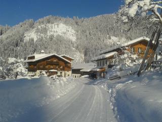 Biobauernhof Windbachgut - Eben im Pongau - 4