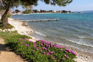 Apartments by the sea Sukosan, Zadar - 6133 - Sukošan - 9