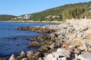 Apartments by the sea Milna, Vis - 8946 - 5