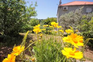 Apartments and rooms with parking space Srebreno, Dubrovnik - 8959 - 5