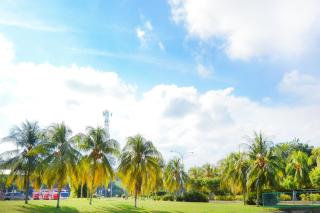 Kijal Family Apartment - 7