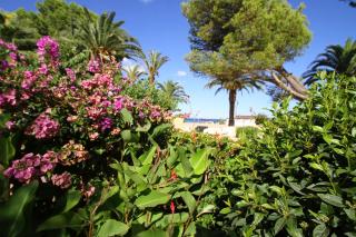 ARENDA Pino Alto Holiday Home Portofino - 6