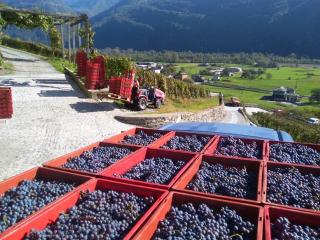 coltiviamo-sogni - 1