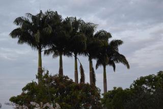 Hotel Casona Las Juanas - San José de Pare - 7