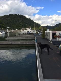 Hausboot Bounty - Sankt Goar - 9