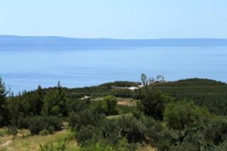 Family friendly house with a swimming pool Kotisina, Makarska - 6809 - 6