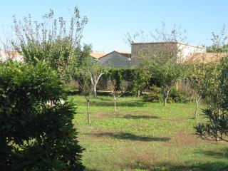 Masseria Copertini - 4