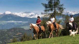 Widmannhof - Urlaub auf dem Biobauernhof - Bressanone - 4