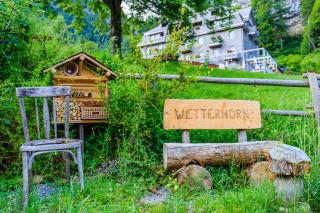 Apart Hotel Wetterhorn - 4