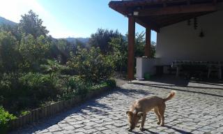 Quinta de São João - 4