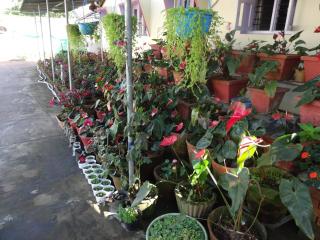 Cauvery Suites - Madikeri - 1